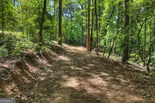 200 Fowler Rd, Ellijay, GA 30536 - Photo 37
