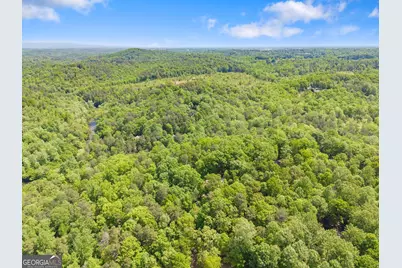 136 Twisting Ridge Trail, Demorest, GA 30535 - Photo 53