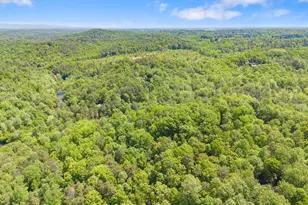 136 Twisting Ridge Trail, Demorest, GA 30535 - Photo 53