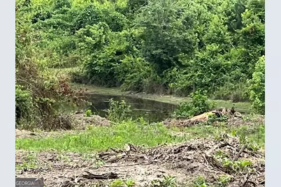 000 Folds Rd (Tract D 22.67 Acres), Carrollton, GA 30116 - Photo 5
