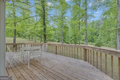 154 Tanglewood Lane, Sharpsburg, GA 30277 - Photo 39