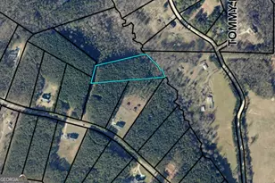 0 Moonlight Dr, Martin, GA 30557 - Photo 1