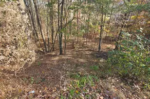 2412 Snowshoe Bend, Bethlehem, GA 30620 - Photo 1