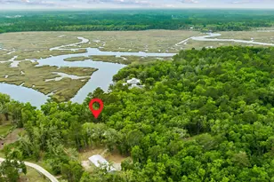 3198 Harrietts Bluff Rd, Woodbine, GA 31569 - Photo 9