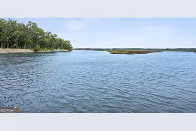 3198 Harrietts Bluff Road, Woodbine, GA 31569 - Photo 111