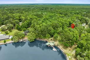 3198 Harrietts Bluff Rd, Woodbine, GA 31569 - Photo 5