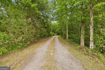 3198 Harrietts Bluff Road, Woodbine, GA 31569 - Photo 11