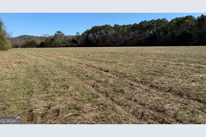 0000000 Liberty Church Road, Ranger, GA 30734 - Photo 33