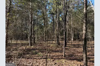 0000000 Liberty Church Road, Ranger, GA 30734 - Photo 15
