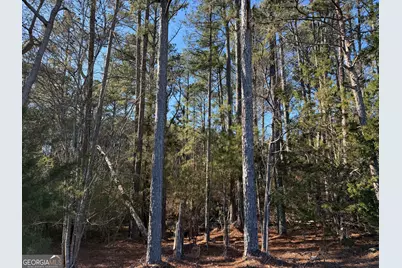 0000000 Liberty Church Road, Ranger, GA 30734 - Photo 43
