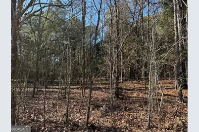0000000 Liberty Church Road, Ranger, GA 30734 - Photo 19