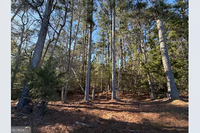 0000000 Liberty Church Road, Ranger, GA 30734 - Photo 45