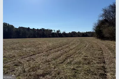 0000000 Liberty Church Road, Ranger, GA 30734 - Photo 31