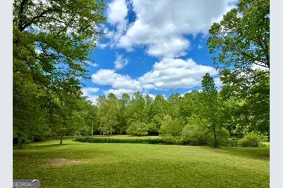 315 Vaughn Road, Newnan, GA 30265 - Photo 89
