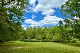 315 Vaughn Rd, Newnan, GA 30265 - Photo 89