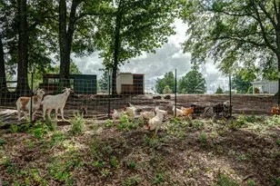 399 Dunn St, Molena, GA 30258 - Photo 65