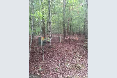 Lot 14 Noontootla Ridge Court, Blue Ridge, GA 30513 - Photo 5