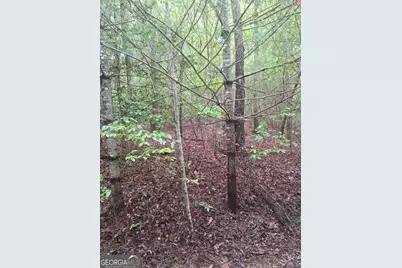 Lot 14 Noontootla Ridge Court, Blue Ridge, GA 30513 - Photo 3