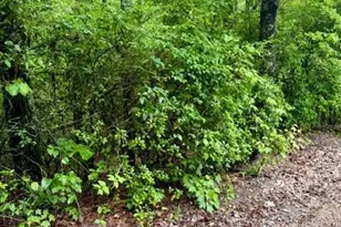 0 Soaring Hawk Trail, Cleveland, GA 30528 - Photo 13
