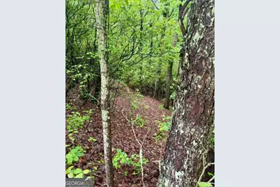00 Soaring Hawk Trail, Cleveland, GA 30528 - Photo 11