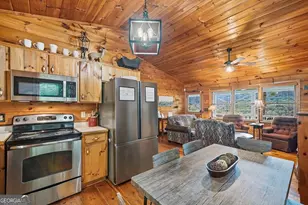 399 Laurel Mountain Road, Blue Ridge, GA 30513 - Photo 11