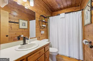 399 Laurel Mountain Road, Blue Ridge, GA 30513 - Photo 15