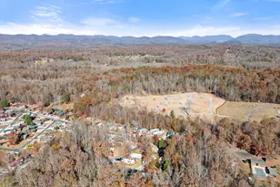 160 Elkmont Trl, Cleveland, GA 30528 - Photo 29