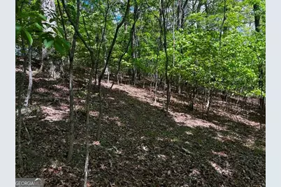 Lot 43 Edgewood Trail, Blairsville, GA 30512 - Photo 5