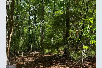 Lot 43 Edgewood Trail, Blairsville, GA 30512 - Photo 11