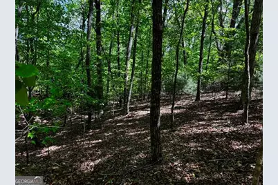 Lot 43 Edgewood Trail, Blairsville, GA 30512 - Photo 7