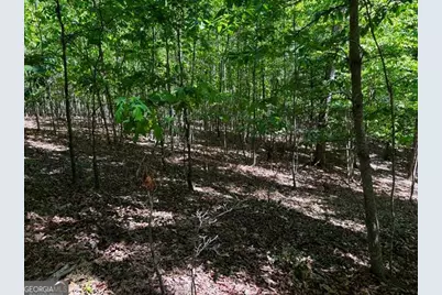 Lot 43 Edgewood Trail, Blairsville, GA 30512 - Photo 9