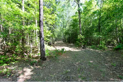 0 Apt-To-Miss Road, Monticello, GA 31064 - Photo 35