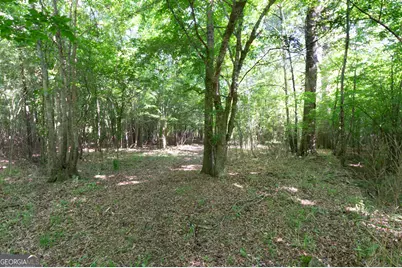 0 Apt-To-Miss Road, Monticello, GA 31064 - Photo 21