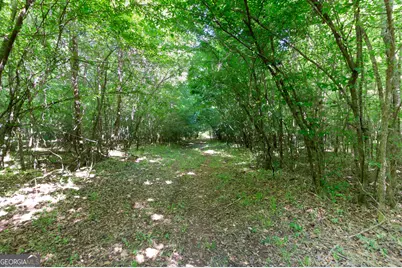 0 Apt-To-Miss Road, Monticello, GA 31064 - Photo 13