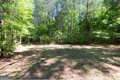0 Apt-To-Miss Road, Monticello, GA 31064 - Photo 33