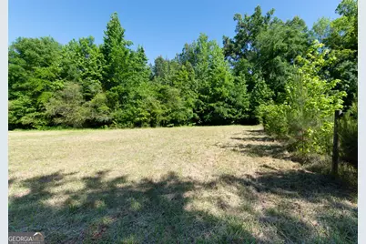 0 Apt-To-Miss Road, Monticello, GA 31064 - Photo 23