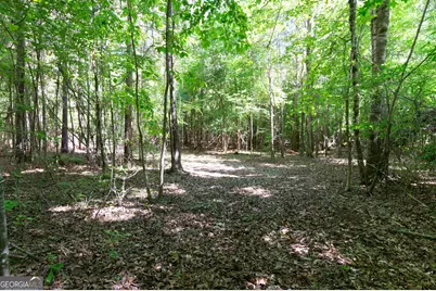 0 Apt-To-Miss Road, Monticello, GA 31064 - Photo 41