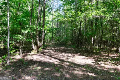 0 Apt-To-Miss Road, Monticello, GA 31064 - Photo 39