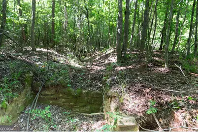 0 Apt-To-Miss Road, Monticello, GA 31064 - Photo 25