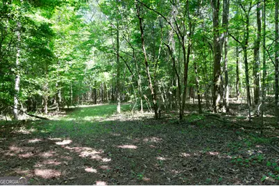 0 Apt-To-Miss Road, Monticello, GA 31064 - Photo 37