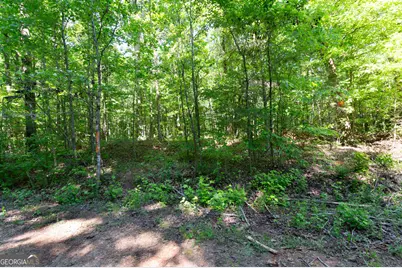 0 Apt-To-Miss Road, Monticello, GA 31064 - Photo 43