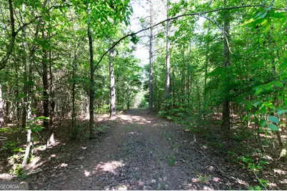 0 Apt-To-Miss Road, Monticello, GA 31064 - Photo 29