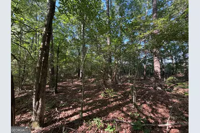 1.2 Acres Beasley Road, Roberta, GA 31078 - Photo 5