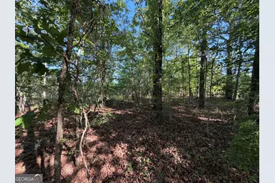 1.2 Acres Beasley Road, Roberta, GA 31078 - Photo 7