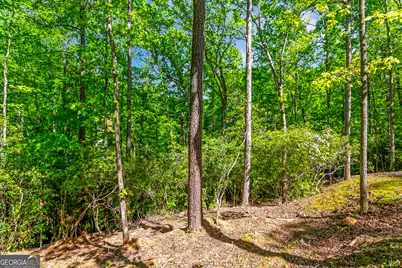 1472 Nugget Lane, Ellijay, GA 30540 - Photo 25