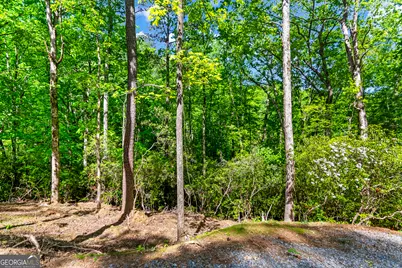 1472 Nugget Lane, Ellijay, GA 30540 - Photo 23