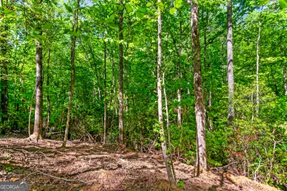 1472 Nugget Lane, Ellijay, GA 30540 - Photo 21
