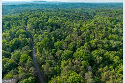 Lot 45 Hilton Drive, Ellijay, GA 30540 - Photo 9