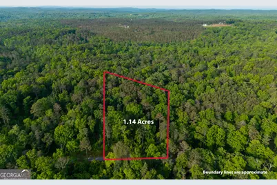 Lot 45 Hilton Drive, Ellijay, GA 30540 - Photo 7