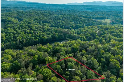 Lot 45 Hilton Drive, Ellijay, GA 30540 - Photo 5